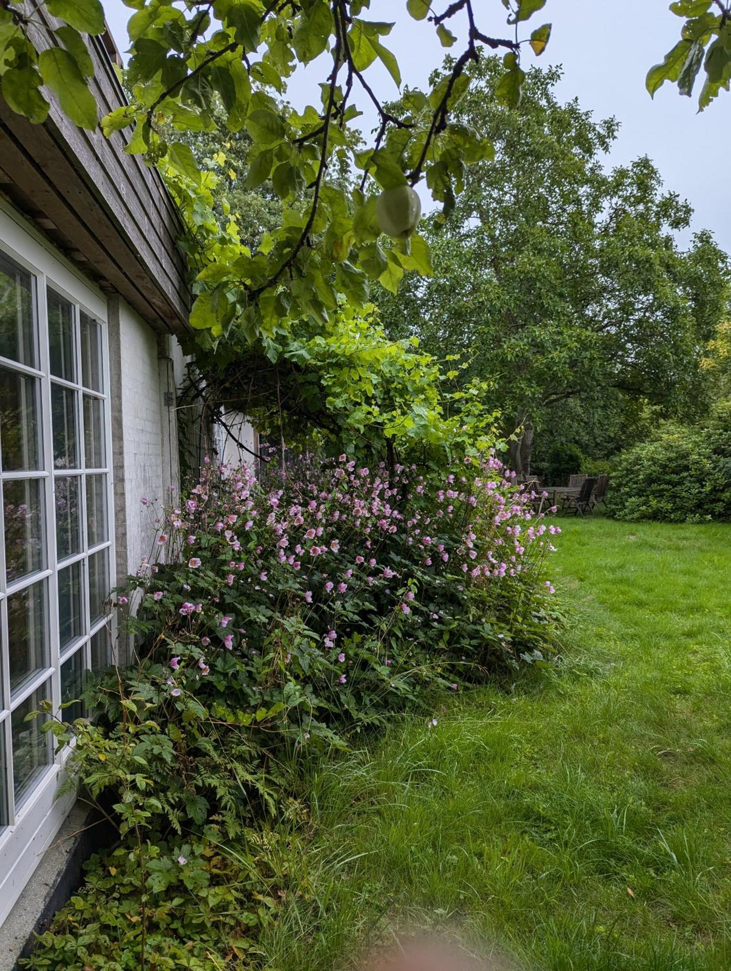 Lejlighed Ved Skov Græsted Eksteriør billede
